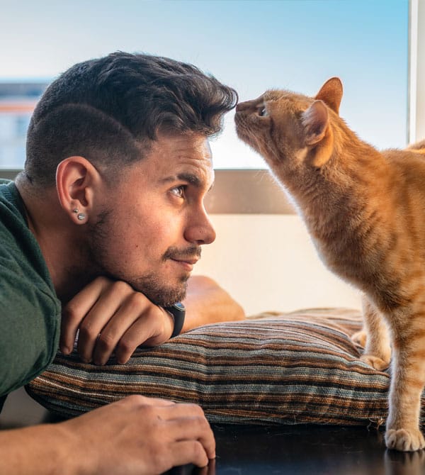 A man with dark hair lies on a striped pillow, facing a ginger cat. The cat, perhaps sensing his veterinarian scent, leans forward to nuzzle his forehead. The background features a window with a clear blue sky.
