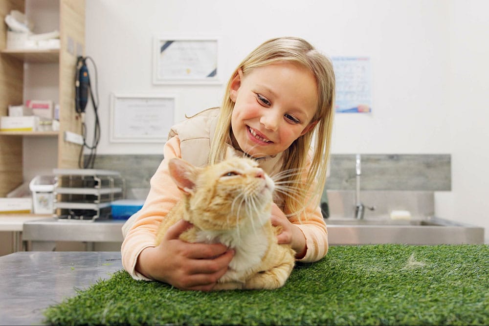 A smiling young girl gently holds an orange cat on a patch of artificial grass in a bright veterinary clinic, with certificates and medical equipment visible in the background.