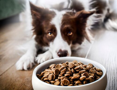 Levels of Lethargy: When to worry; Skipping meals: How many is too many?