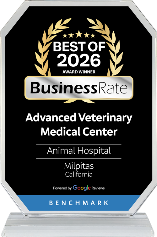 A crystal award plaque reads "Best of 2026 Award Winner, BusinessRate, Advanced Veterinary Medical Center, Animal Hospital, Milpitas California, Powered by Google Reviews, Benchmark." Gold laurel graphics decorate the top.